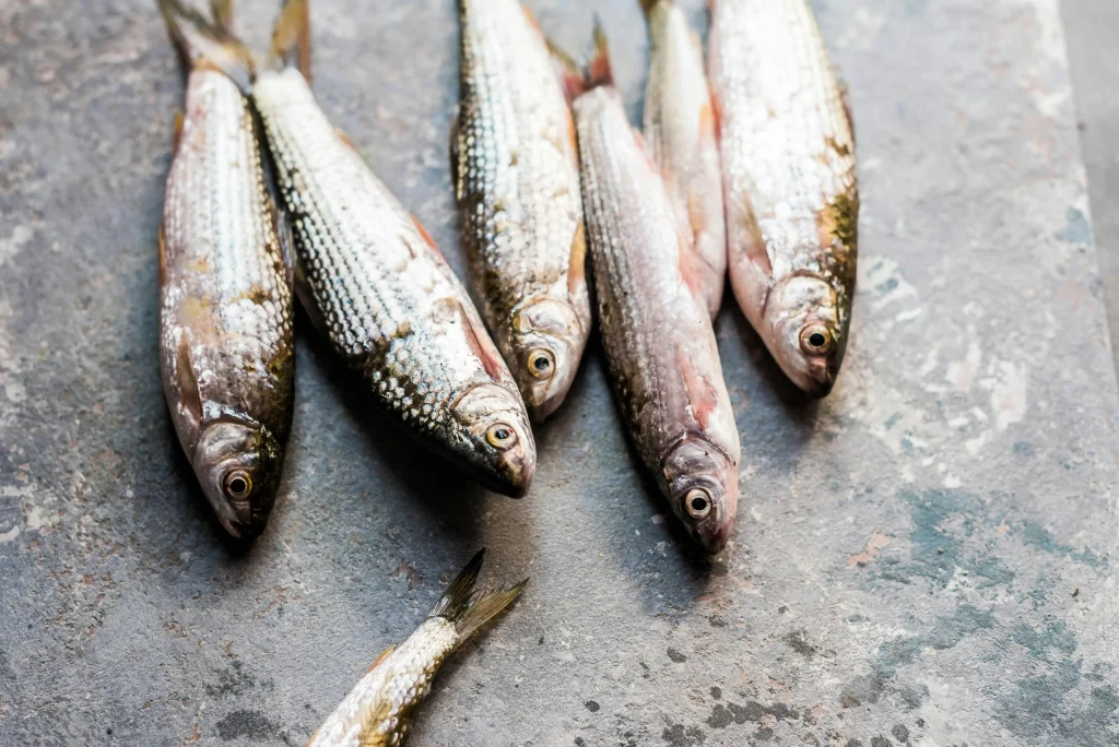 sardines mortes